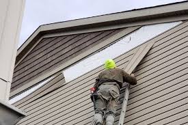 Best Fascia and Soffit Installation  in Ceresco, NE